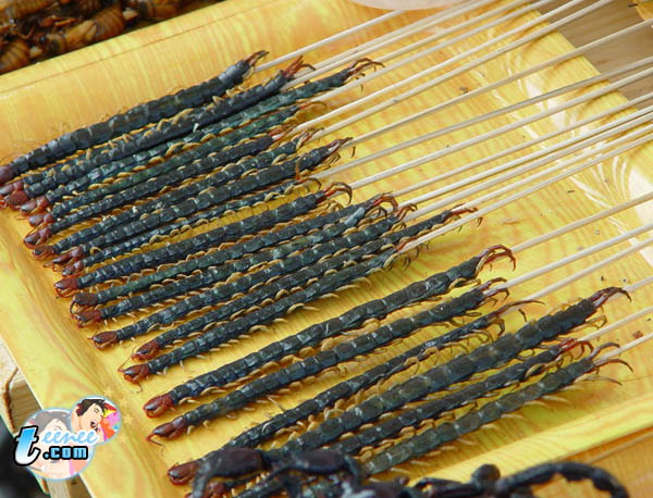 Name:  11620.jpg
Views: 651
Size:  120.2 KB