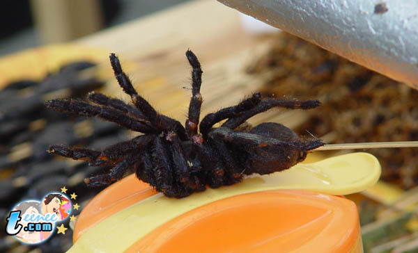 Name:  11621.jpg
Views: 563
Size:  53.4 KB