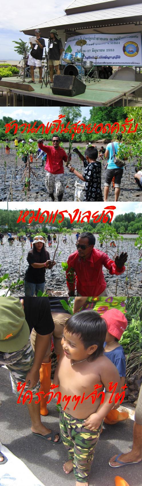 Name:  4.jpg
Views: 135
Size:  186.5 KB