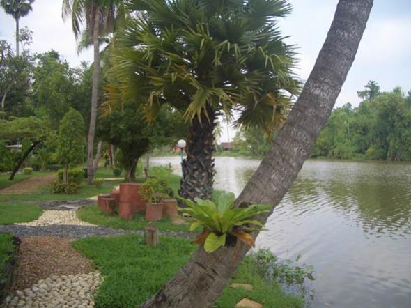 Name:  ѧҧ2.jpg
Views: 128
Size:  46.5 KB