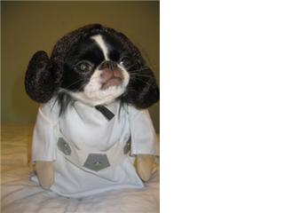 Name:  9.jpg
Views: 793
Size:  7.9 KB