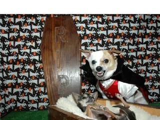 Name:  25.jpg
Views: 762
Size:  23.5 KB