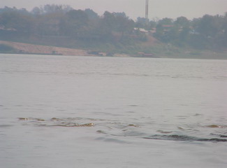 Name:  1_ILdDIprB.jpg
Views: 1392
Size:  25.8 KB