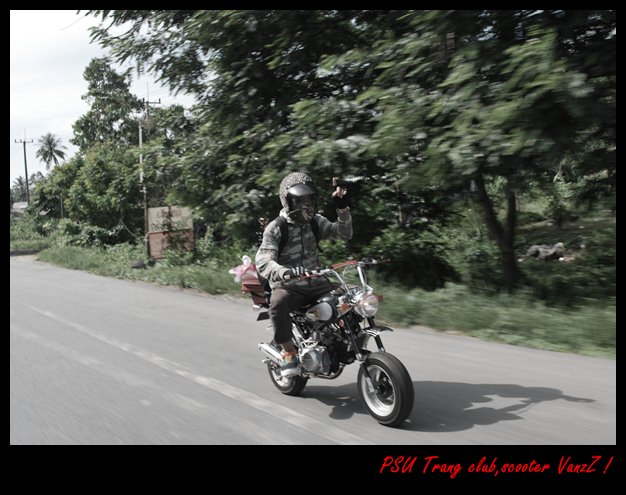 Name:  DSC_0121.JPG
Views: 234
Size:  99.2 KB