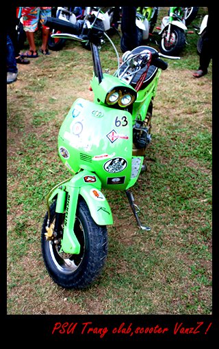 Name:  DSC_0141.JPG
Views: 375
Size:  94.3 KB