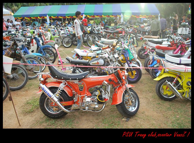Name:  DSC_0144.JPG
Views: 1018
Size:  143.9 KB
