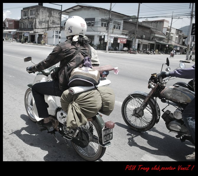 Name:  DSC_0265.JPG
Views: 384
Size:  125.5 KB