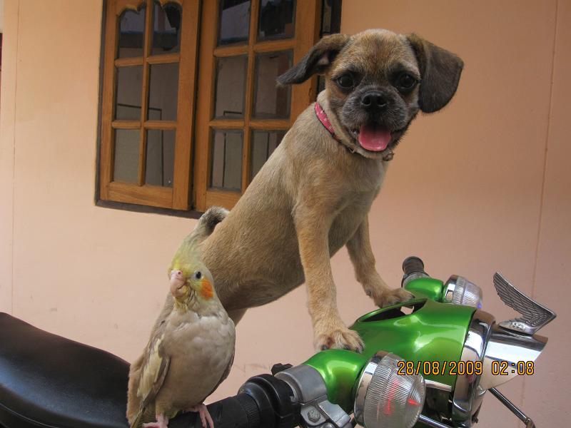 Name:  IMG_183ghg.JPG
Views: 528
Size:  62.1 KB