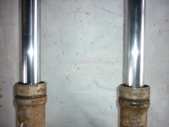 Name:  P1030806_resize.JPG
Views: 888
Size:  43.0 KB