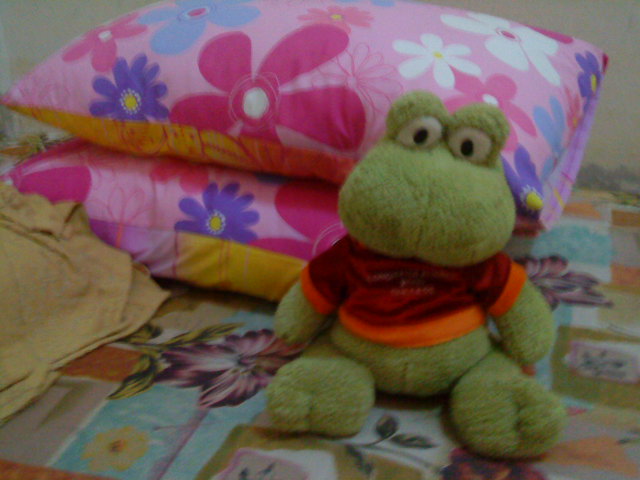 Name:  DSC04168.JPG
Views: 416
Size:  69.0 KB