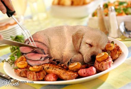 Name:  6580.jpg
Views: 84
Size:  21.9 KB