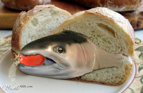 Name:  6150.jpg
Views: 81
Size:  25.8 KB