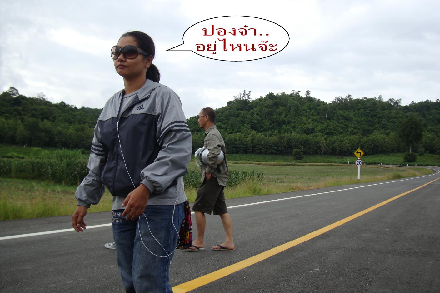 Name:  DSC02440.jpg
Views: 535
Size:  145.8 KB