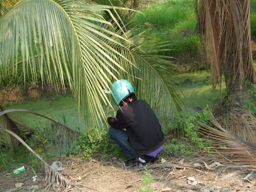 Name:  DSCF0377.jpg
Views: 312
Size:  77.4 KB