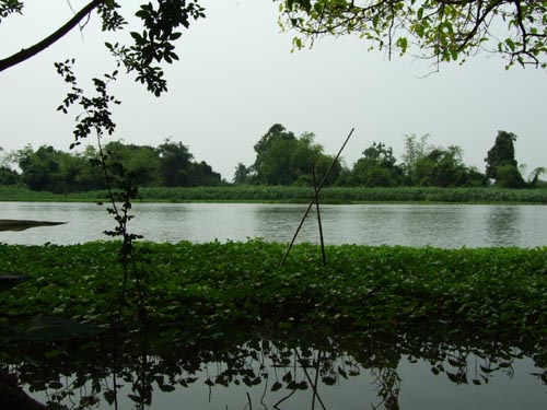 Name:  DSCF0379.jpg
Views: 313
Size:  65.0 KB