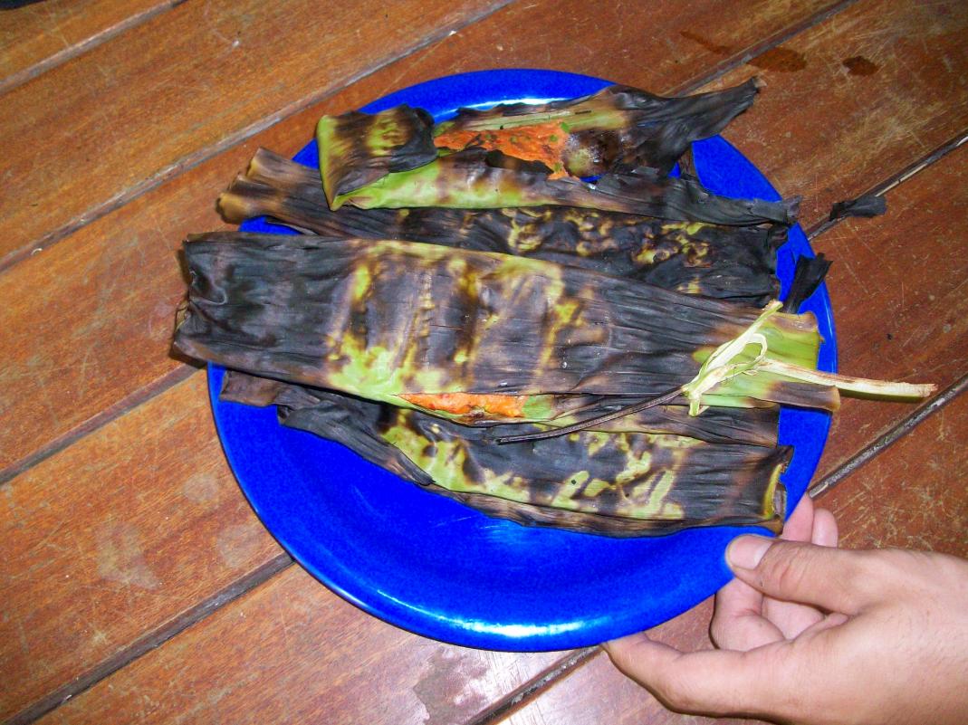 Name:  100_8768.jpg
Views: 323
Size:  151.4 KB