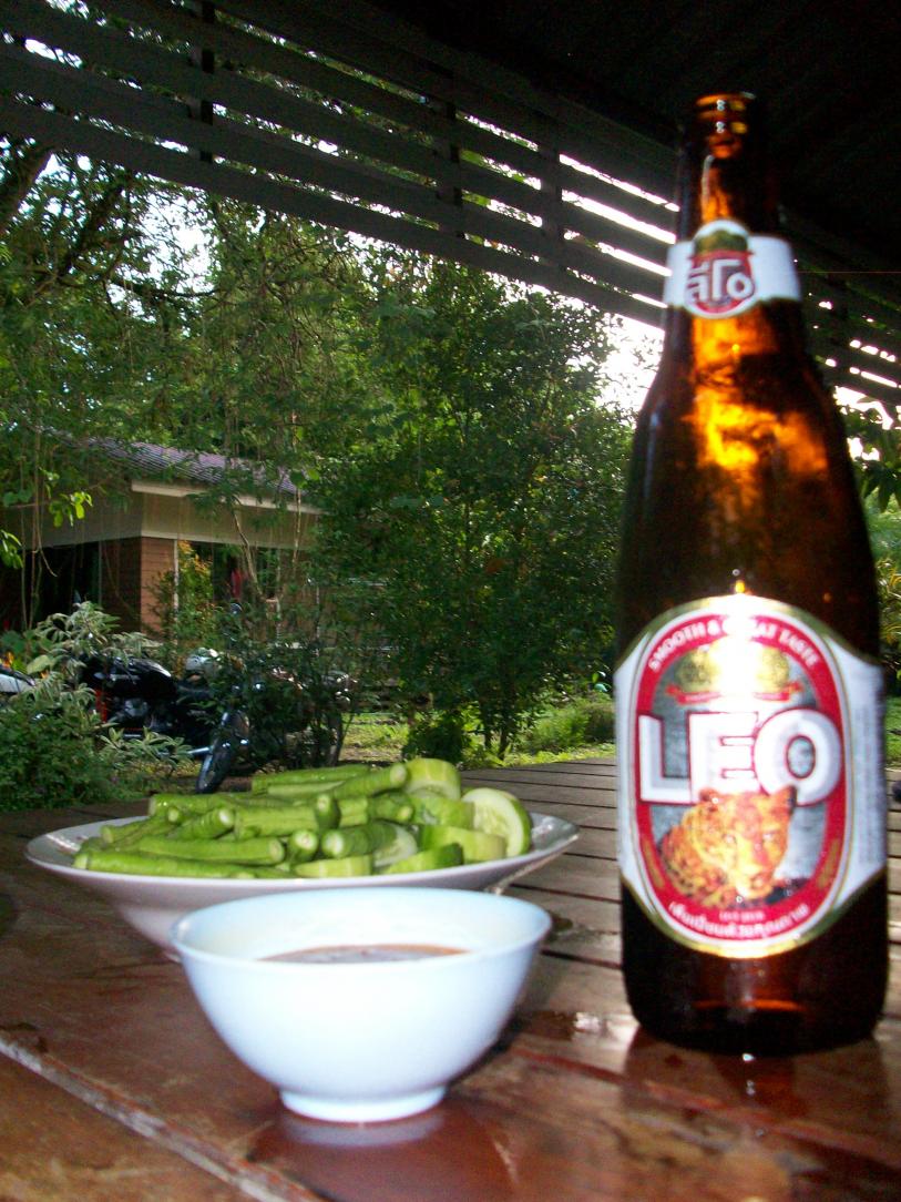 Name:  100_8815.jpg
Views: 330
Size:  151.2 KB