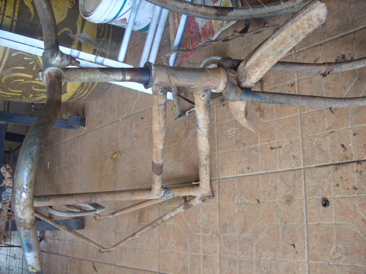 Name:  SS850453.jpg
Views: 1325
Size:  147.4 KB