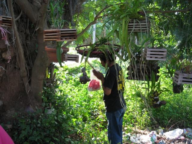 Name:  IMG_1836.jpg
Views: 889
Size:  69.2 KB