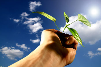 Name:  tree_1.jpg
Views: 2200
Size:  19.7 KB