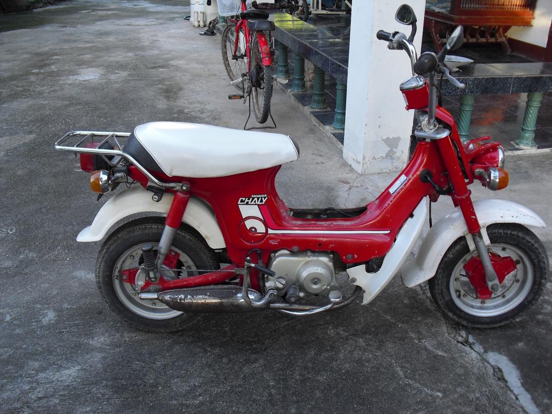 Name:  CIMG0709.jpg
Views: 1161
Size:  151.3 KB