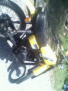 Name:  IMG0555A.jpg
Views: 213
Size:  38.6 KB