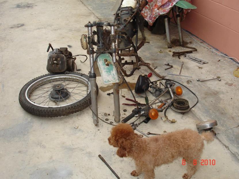 Name:  DSC03033.jpg
Views: 1474
Size:  76.2 KB