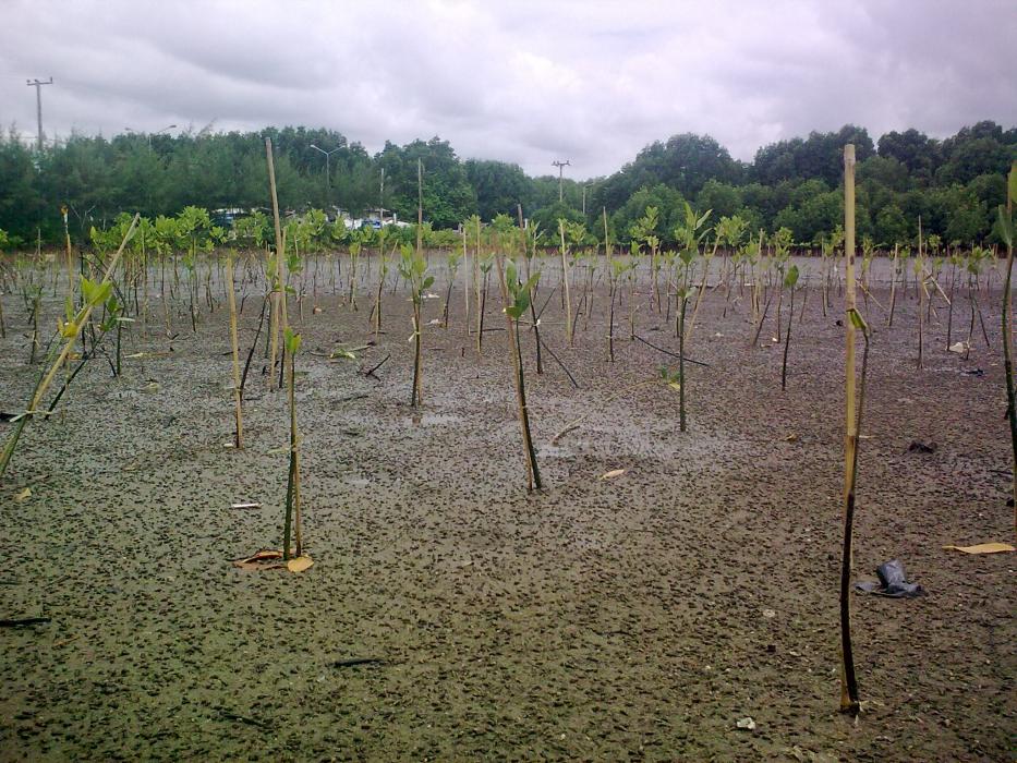 Name:  3.jpg
Views: 76
Size:  155.0 KB