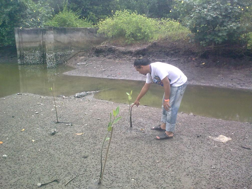 Name:  12.jpg
Views: 75
Size:  153.0 KB