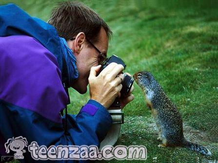 Name:  postgang_162559.jpg
Views: 147
Size:  137.1 KB