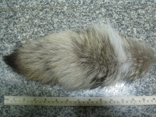 Name:  IMG_2255.jpg
Views: 90
Size:  98.9 KB