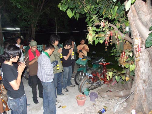 Name:  DSCF0417.jpg
Views: 1328
Size:  76.8 KB