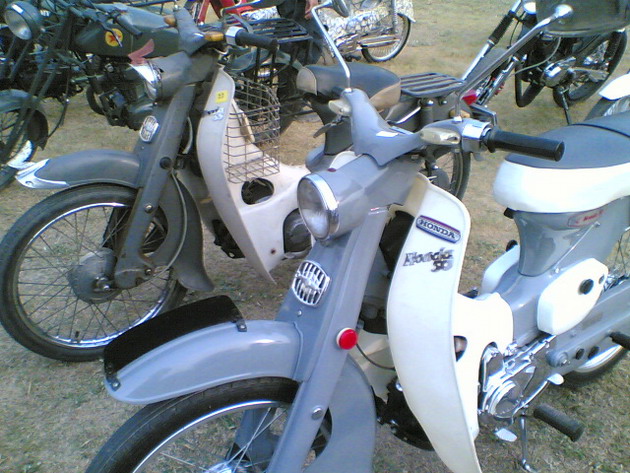 Name:  10032007(039).jpg
Views: 1554
Size:  118.0 KB