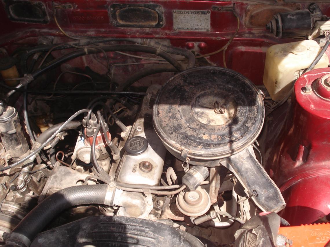 Name:  DSC02863.jpg
Views: 225
Size:  148.6 KB