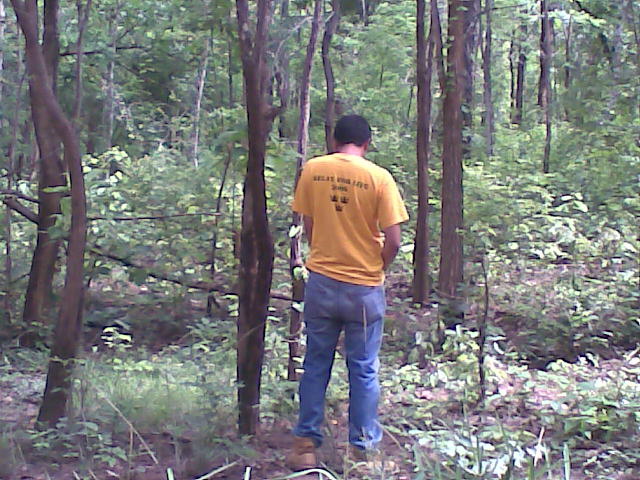 Name:  Image062.jpg
Views: 141
Size:  107.2 KB