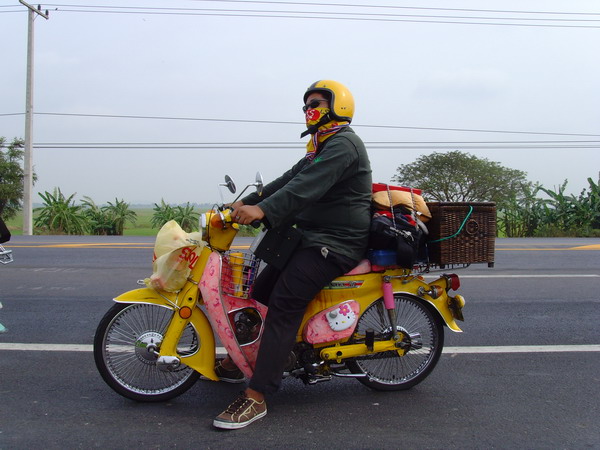 Name:  SNV33605.jpg
Views: 413
Size:  86.3 KB