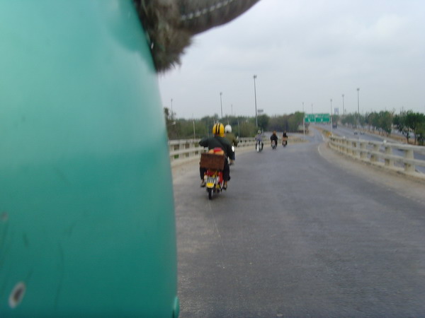 Name:  SNV33610.jpg
Views: 419
Size:  43.7 KB