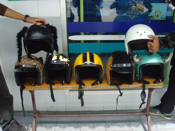 Name:  SNV33653.jpg
Views: 387
Size:  93.0 KB