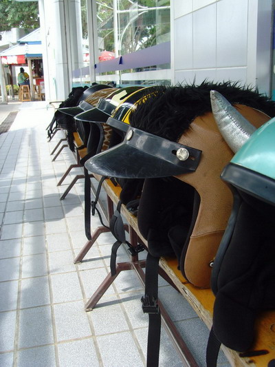 Name:  SNV33654.jpg
Views: 389
Size:  79.8 KB