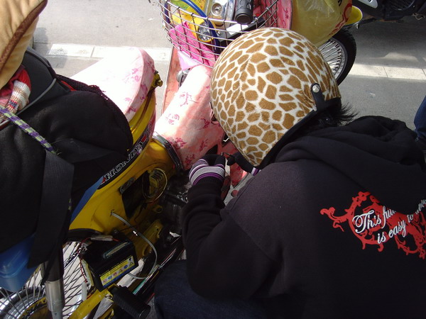 Name:  SNV33657.jpg
Views: 381
Size:  96.1 KB