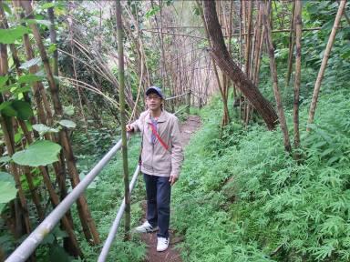Name:  untitled.JPG
Views: 63
Size:  34.8 KB