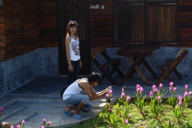 Name:  DSC02235.JPG
Views: 159
Size:  146.9 KB