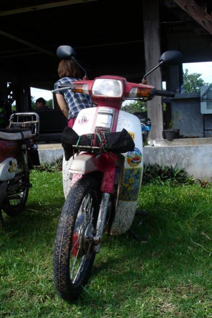 Name:  DSC02236.jpg
Views: 165
Size:  48.5 KB