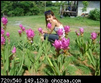 Name:  37968_140836015950587_100000725674994_243194_5265472_n.jpg
Views: 98
Size:  21.0 KB