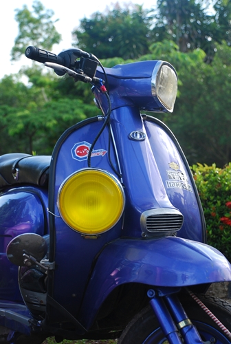 Name:  DSC_0055.JPG
Views: 180
Size:  148.4 KB