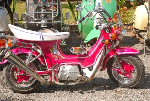 Name:  DSC_0295.jpg
Views: 127
Size:  45.1 KB