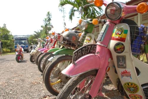 Name:  DSC_0316.jpg
Views: 124
Size:  35.8 KB