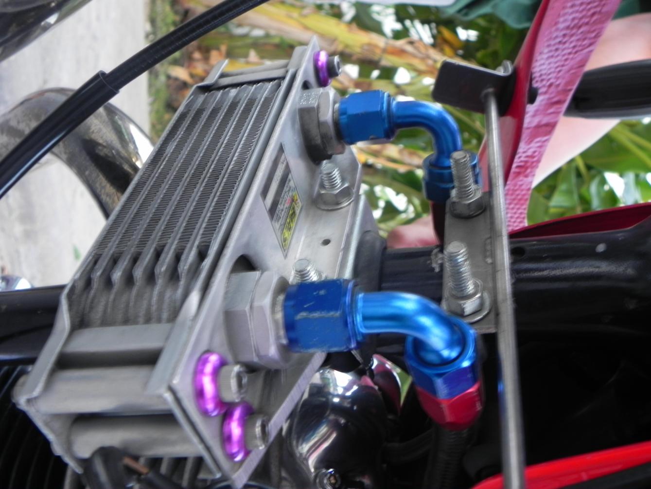 Name:  DSCN2372.jpg
Views: 1171
Size:  135.4 KB