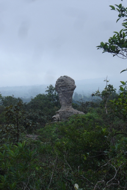 Name:  DSC02285.JPG
Views: 85
Size:  133.8 KB