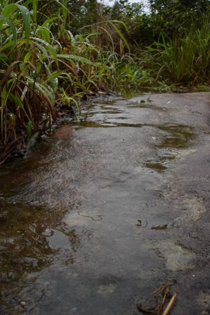 Name:  DSC02288.jpg
Views: 140
Size:  50.2 KB